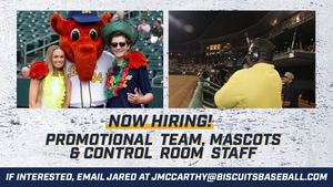 Image post by @biscuitbaseball on Instagram