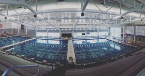 Image post by @ithacaswimdive on Instagram