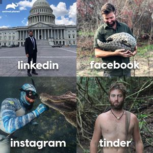 Image post by @animalplanet on Instagram