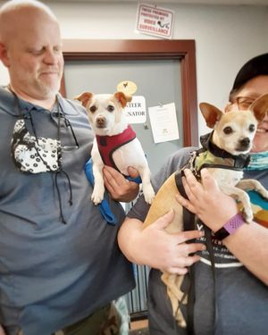 Image post by @spokhumanesoc on Instagram