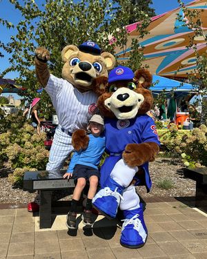 Image post by @sbcubs on Instagram