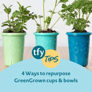 Image post by @thefirstyearsbrand on Instagram