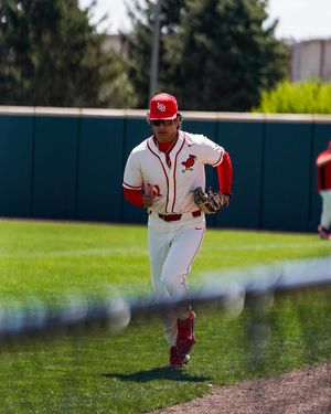 Image post by @isuredbirdbaseball on Instagram