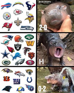 Image post by @nfloncbs on Instagram