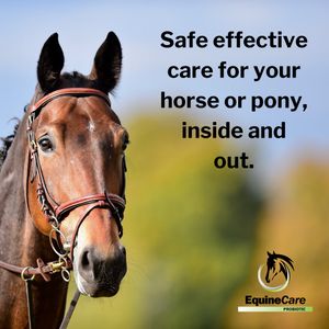 Image post by @equinecareprobiotic on Instagram