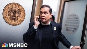 Video post by @msnbc on YouTube