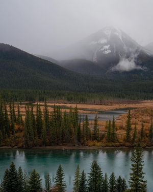 Image post by @theryan_reynolds on Instagram