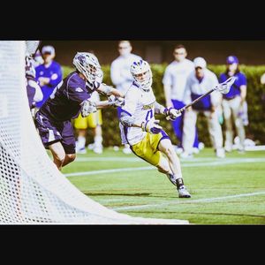 Image post by @udbluehens on Instagram