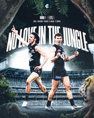 Image post by @carlton_fc on Instagram
