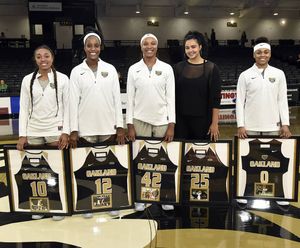Image post by @golden_grizzlies on Instagram