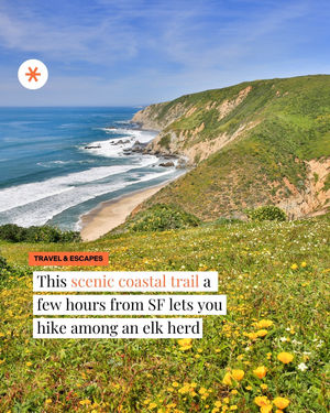 Image post by @secret_sanfrancisco on Instagram
