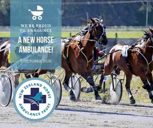 Image post by @NZHorseAmbulanceTrust on Facebook