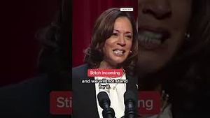 Video post by @msnbc on YouTube