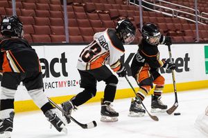 Image post by @the_rinks on Instagram