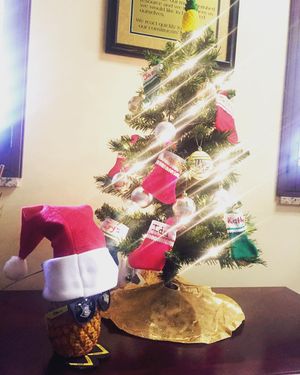 Image post by @rosencollege on Instagram