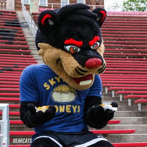 Image post by @gobearcats on Instagram
