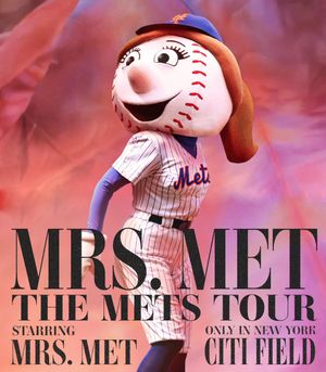 Image post by @mrsmet on Twitter