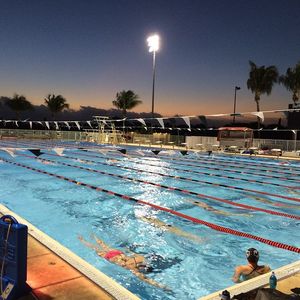Image post by @brownu_wswimdive on Instagram