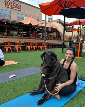 Image post by @yogapartylive on Instagram