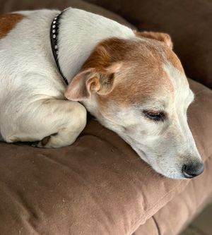 Image post by @snaffle_it on Instagram