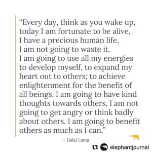 Image post by @zeetabody on Instagram