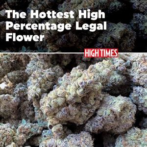 Image post by @hightimesmagazine on Instagram