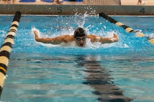 Image post by @stolafswimdive on Instagram