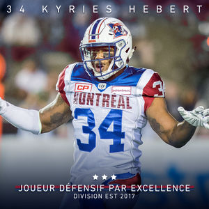 Image post by @mtlalouettes on Instagram