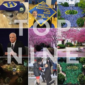 Image post by @hofstrau on Instagram