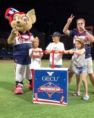 Image post by @chico_epchihuahuas on Instagram