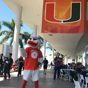 Image post by @um_sebastian on Instagram