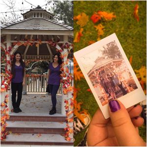 Image post by @gilmoregirlsonly on Instagram