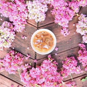 Image post by @starbucks on Instagram