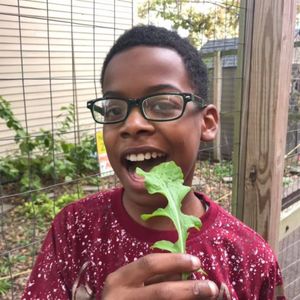 Image post by @kidsgardening on Instagram