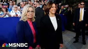 Video post by @msnbc on YouTube