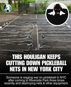 Image post by @thepickleballclinic on Instagram