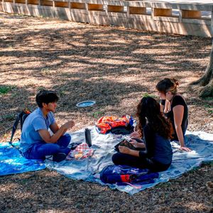 Image post by @utsa on Instagram