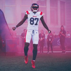 Image post by @mtlalouettes on Instagram