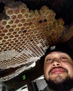 Image post by @the_kennykingjr on Instagram