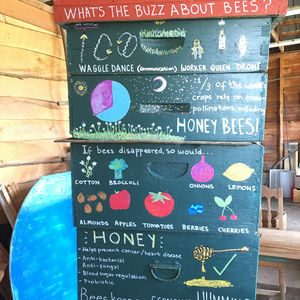 Image post by @kidsgardening on Instagram