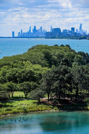 Image post by @ryankuttler on Twitter