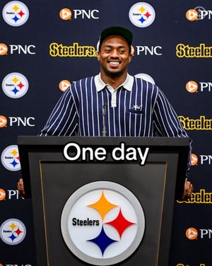 Image post by @steelers on TikTok