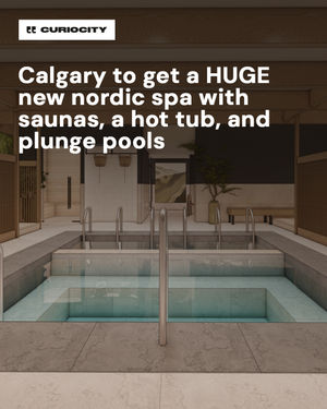 Image post by @curiocitycalgary on Instagram