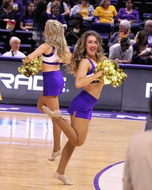 Image post by @lsutigergirls on Instagram