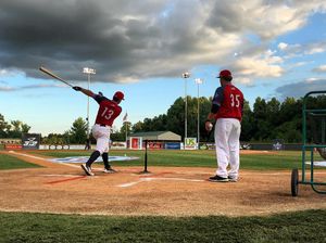 Image post by @ilmsharks on Instagram