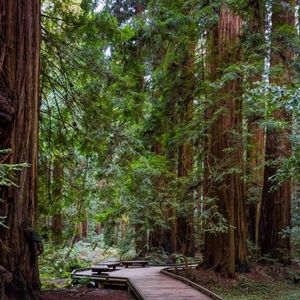 Image post by @nationalparktrust on Instagram