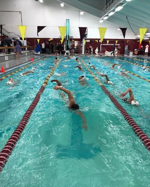 Image post by @fordhamswimdive on Instagram