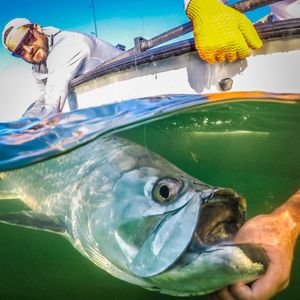 Image post by @toadfishoutfitters on Instagram