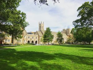 Image post by @dukewlax on Instagram