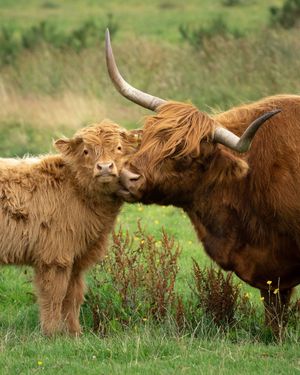 Image post by @visitscotland on Instagram
